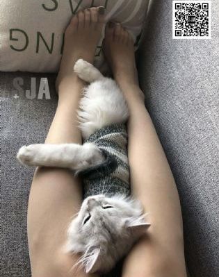新玥月光宝盒3