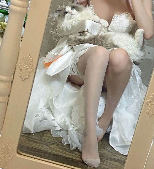 免费观看电视剧全集在线