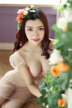 消失的眼角膜