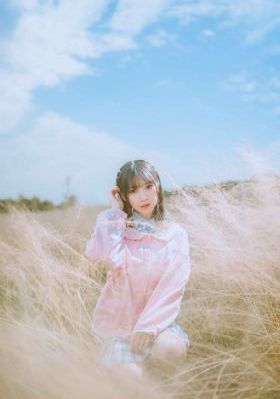 电视剧与凤行免费全集电视剧
